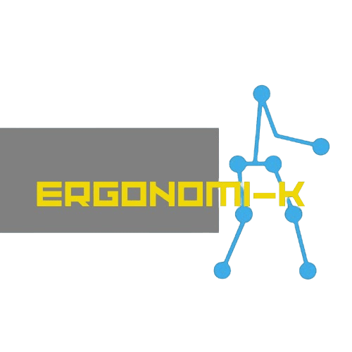 ErgonomikApp: Evaluación de Salud Laboral NOM-036-1-STPS